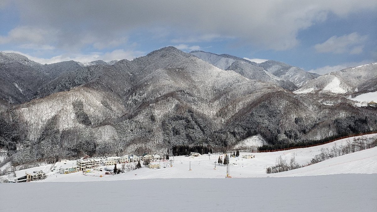 ⛷️ 호오노키다이라 스키장 (飛騨ほおのき平スキー場) 이미지 8
